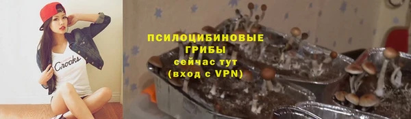 метадон Нея