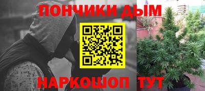 хмурый Бийск