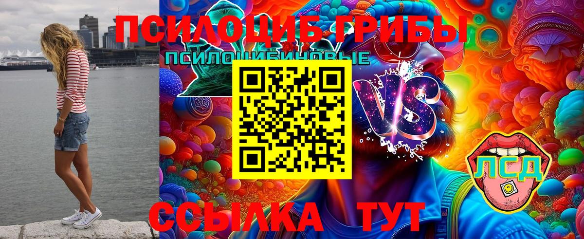 Псилоцибиновые грибы ЛСД Лабинск