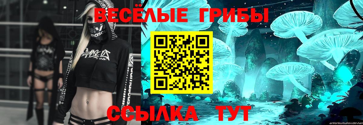 Галлюциногенные грибы ЛСД  Вход с VPN  продажа наркотиков  Лабинск 